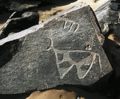 Esihistoria, kalliotaide: vakava kallio karjan esityksestä. Tazina tyyli. Kivikausi 5000-2000 eaa. Taghit, Haut plateau du Hoggar (Ahaggar), Algeria tekijältä Prehistoric Prehistoric