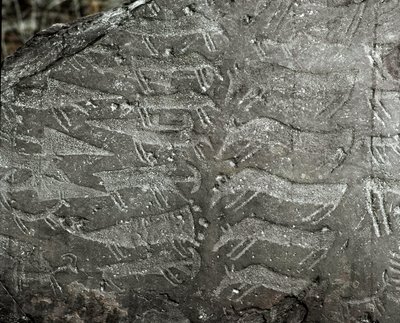 Esihistoriaa, kalliotaidetta: hautakallio tikareiden, härkien esityksiä. Kuparin aika. Eneoliittinen aika (kalkoliitti). Roche no. 1. Cemmo (Brescia) Cemmon lohkareiden kansallinen arkeologinen puisto, Italia tekijältä Prehistoric Prehistoric