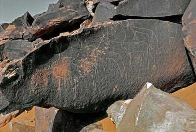 Esihistoria, kalliotaide: karjan esityksen hautakivi. Tazina tyyli. Kivikausi 5000-2000 eaa. Taghit, Haut plateau du Hoggar (Ahaggar), Algeria tekijältä Prehistoric Prehistoric