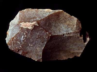 Esihistoria: leikattu kivikaavin päälle. Yläpaleoliitti, Magdalena. Verone, luonnonhistoriallinen museo, Italia tekijältä Prehistoric Prehistoric