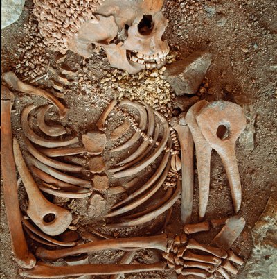 Esihistoria: teini-ikäisten luuranko ja hautajaiset sanoivat nuoresta prinssistä Arene Candiden (Finale Ligure) luolasta: kaulakoru kuorista, peuran sarvesta ja piikivistä. Kivikausi, ylempi paleoliitti. Genes, Museo di Archeologia Ligure tekijältä Prehistoric Prehistoric