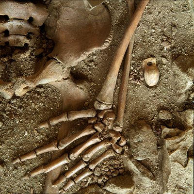 Esihistoria: teinihautaus. Yksityiskohtainen näkymä hautajaisten Candid Arenen (Finale Ligure) luolasta Liguriassa. Yläpaleoliitti, 24000 eaa. Geenit, museo di archeologia ligure tekijältä Prehistoric Prehistoric