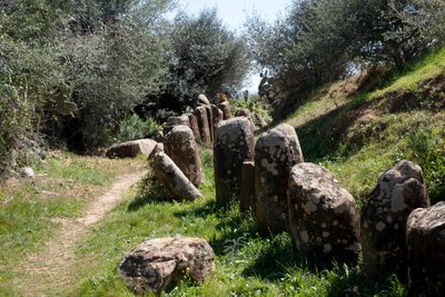 Cromlech M Zoran arkeologinen kohde Sidi El Yamanissa (Marokko). Neoliittinen hautakumpu (2000 eKr.), jota ympäröi 167 monoliittia. tekijältä Prehistoric Prehistoric