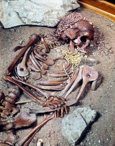 Yläpaleoliittisen hauta. Combe Capelle -etnisen ryhmän luuranko löydetty "nuorena prinssinä" tunnetun Arene Candiden luolasta Liguriassa. 16610 vuotta eaa. tekijältä Prehistoric Prehistoric