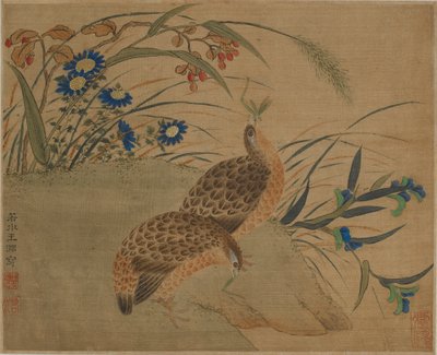 Kaksi viiriäistä syö heinäsirkkaa kukkien alla tekijältä Qing Dynasty Chinese School