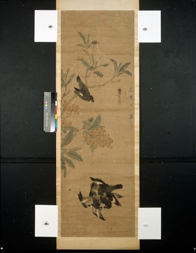 Linnut ja oksat tekijältä Qing Dynasty Chinese School