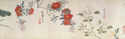 Kukat, käsirulla (muste ja väri paperille) tekijältä Qing Dynasty Chinese School