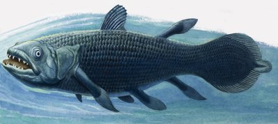 Coelacanth tekijältä R.B. Davis