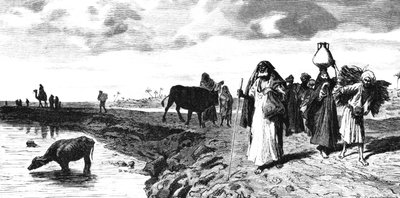 Chaussee suistossa tulvan aikaan vuonna 1880 tekijältä R. Brandamour
