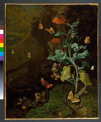 Asetelma, jossa on kukkia, perhosia ja lisko dellissä, ennen vuotta 1750 tekijältä Rachel Ruysch