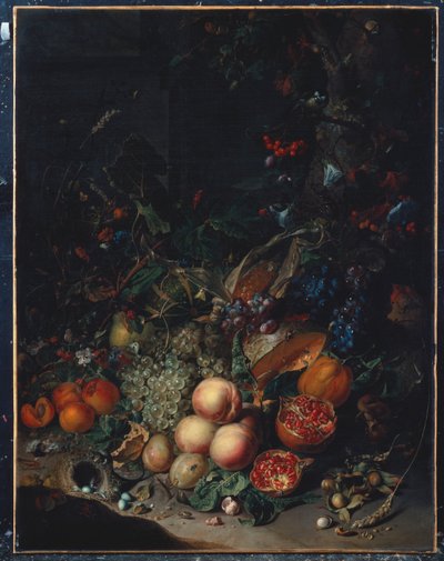 Persikat, viinirypäleet, granaattiomenat, melonit, maissintähkä, aprikoosit, luumut, päärynät, tammenterhot, 1718 tekijältä Rachel Ruysch