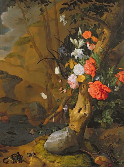Tuntematon kuva tekijältä Rachel Ruysch