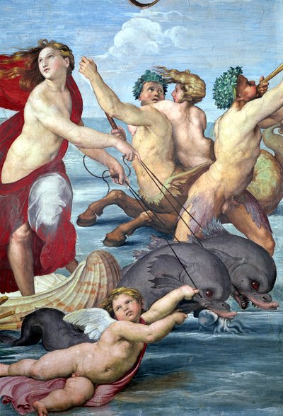 Galatea, yksityiskohta mermeneistä ja delfiineistä, 1506 fresko yksityiskohta 56473:sta 56473 tekijältä Raffaello Sanzio Raphael