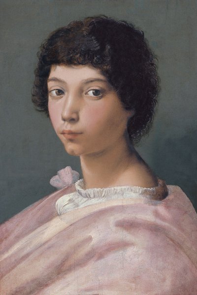 Nuoren miehen muotokuva tekijältä Raffaello Sanzio Raphael