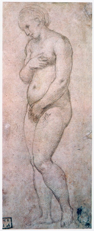 Venuksen tutkimus, 1500-1520 tekijältä Raffaello Sanzio Raphael