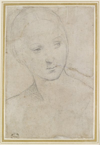 Luuranko tekijältä Raffaello Sanzio Raphael