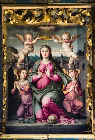 Madonna delle Grazie (öljy paneelille) tekijältä Raffaello dal Colle