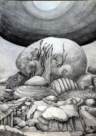 Kivi muna tekijältä Raimondo Gambino