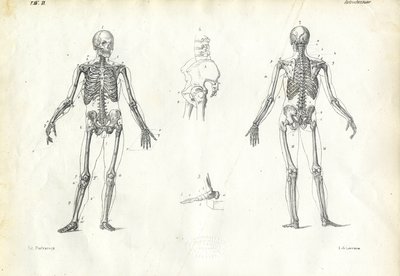 Ihminen, 1863-79 tekijältä Raimundo Petraroja