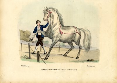 Italian hevoset, 1863-79 tekijältä Raimundo Petraroja
