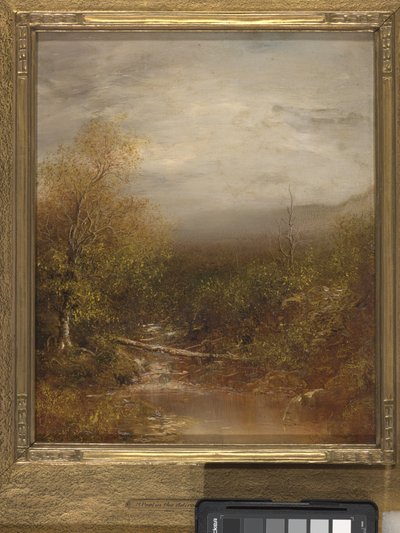 Pool In The Adirondacks (öljy kankaalle) tekijältä Ralph Albert Blakelock