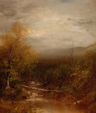 Uima -allas Adirondacksissa tekijältä Ralph Albert Blakelock