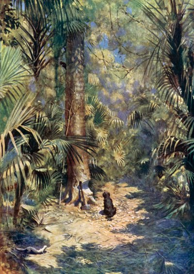 Kuvitus Robinson Crusoelle Daniel Defoe (väri litho) tekijältä Ralph Noel Pocock