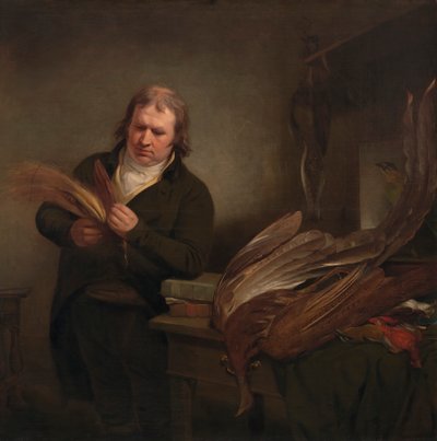 Ornitologi, mahdollisesti John Latham tekijältä Ramsay Richard Reinagle