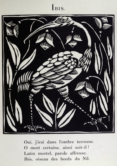 Ibis, kuvitus Guillaume Apollinairen (1880-1918) teoksesta "Bestiarion" tai "Orfeuksen kulkue" 1911 (puupiirros). tekijältä Raoul Dufy
