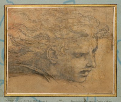 Nuoren miehen pää, kolme neljäsosaa oikealle ... tekijältä Raphael (1483-1520)