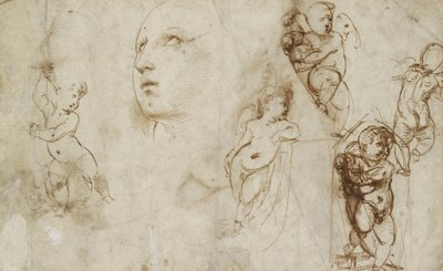 Erilaisia tutkimuksia, pääasiassa Borghese-Beckford St Catherinen (kynä ja ruskea muste luonnonvalkoiselle paperille) tekijältä Raphael