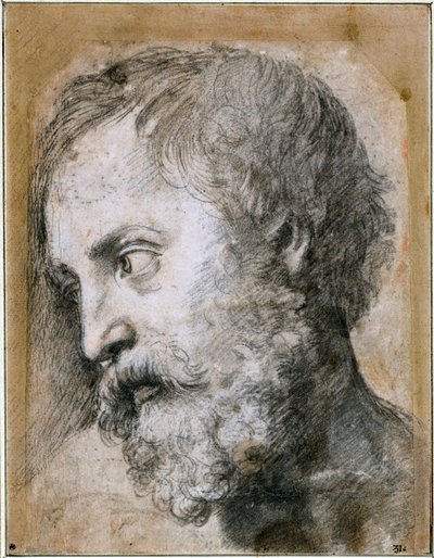 Kirkastumista koskevan apostolitutkimuksen johtaja, 1519-1520 tekijältä Raffaello Sanzio Raphael