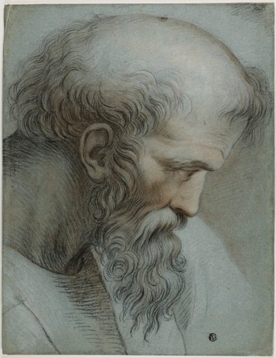Pythagoraan päällikkö tekijältä Raphael