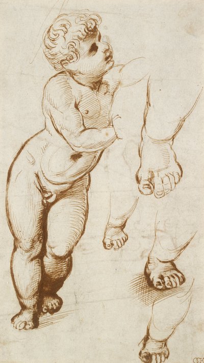 Recto: Infant Christ and other Studies, 1500-1520 tekijältä Raphael