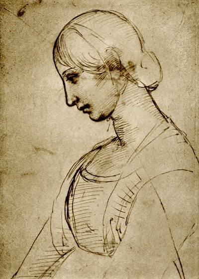Tutkimus Madonnasta tekijältä Raffaello Sanzio Raphael