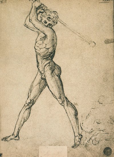 Hercules tappaa härän; piirustus Raphael. Gallerie dellAccademia, Venetsia tekijältä Raffaello Sanzio Raphael
