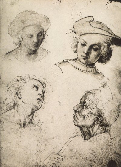 Neljän miehen kasvojen tutkimus; piirustus Raphael. Gallerie dellAccademia, Venetsia tekijältä Raffaello Sanzio Raphael