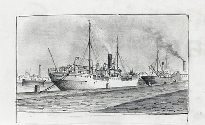  tekijältä Raymond Bonnefon