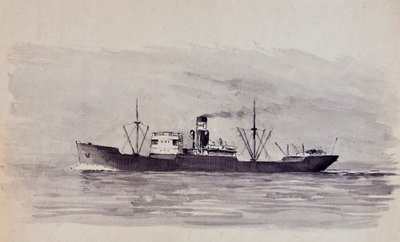  tekijältä Raymond Bonnefon