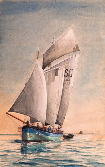  tekijältä Raymond Bonnefon