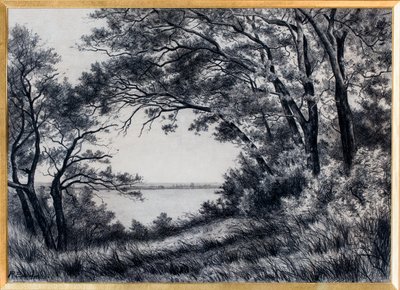  tekijältä Raymond Bonnefon