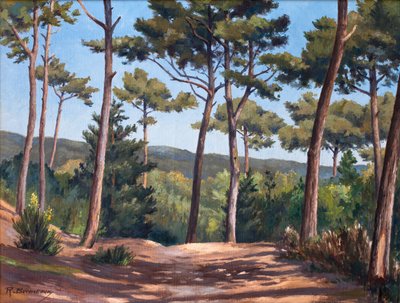  tekijältä Raymond Bonnefon