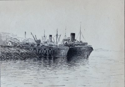  tekijältä Raymond Bonnefon