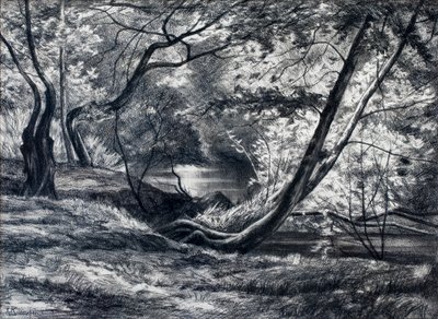  tekijältä Raymond Bonnefon