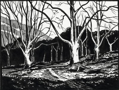  tekijältä Raymond Bonnefon