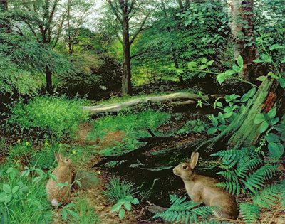 Metsässä - juhannusilta (öljy laudalle) tekijältä Raymond Booth