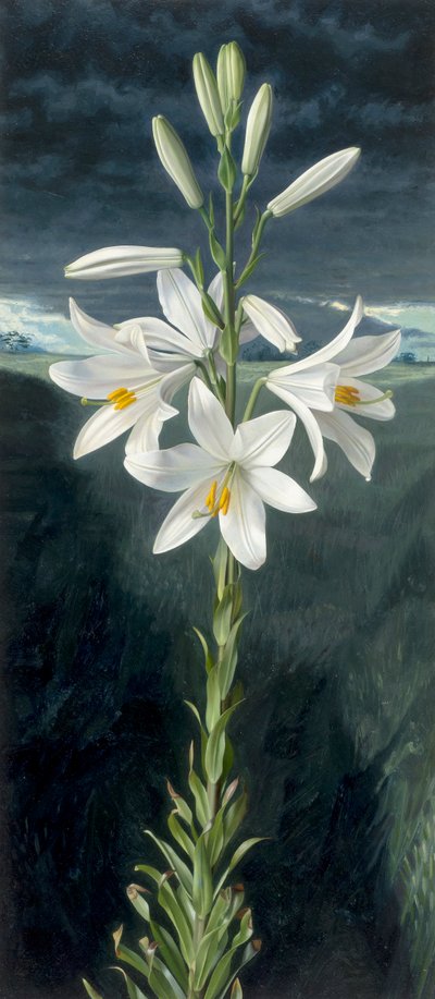 Madonna lilja (öljy kartongille) tekijältä Raymond Booth