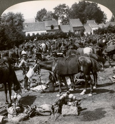 Joukot ruokkivat hevosiaan ja lepäävät marssilla, ensimmäinen maailmansota, 1914-1918. tekijältä Realistic Travels Publishers