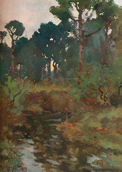 Koristeellinen maisematutkimus, c1903 1903-1904 tekijältä Reginald Jones