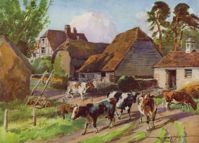 Kuvitus My Farm (väri litho) tekijältä Reginald Mills